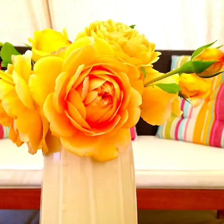 Camping La Vie En Rose Οργανωμένο κάμπινγκ Escanecrabe