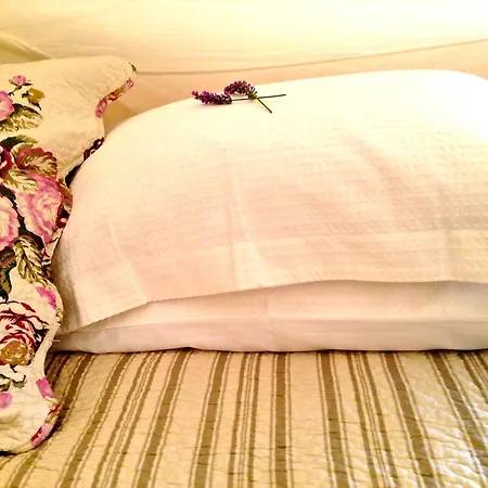 Camping La Vie En Rose *