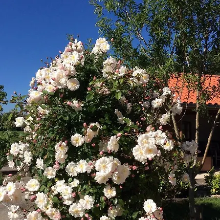 Οργανωμένο κάμπινγκ Camping La Vie En Rose Escanecrabe