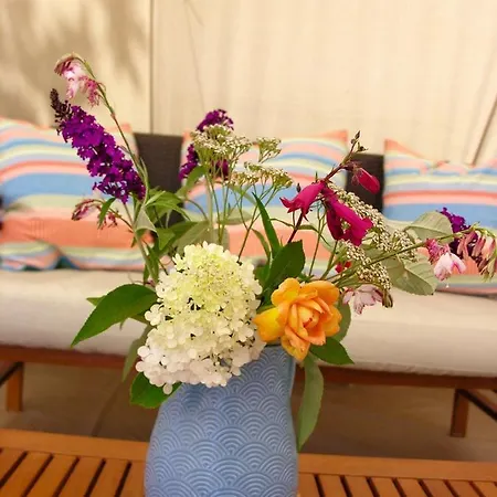 Camping La Vie En Rose Οργανωμένο κάμπινγκ Escanecrabe